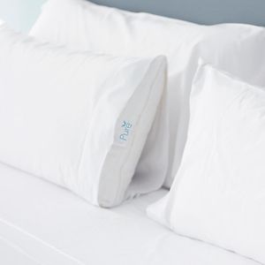 Queen Room Two Queen Beds Allergy Friendly